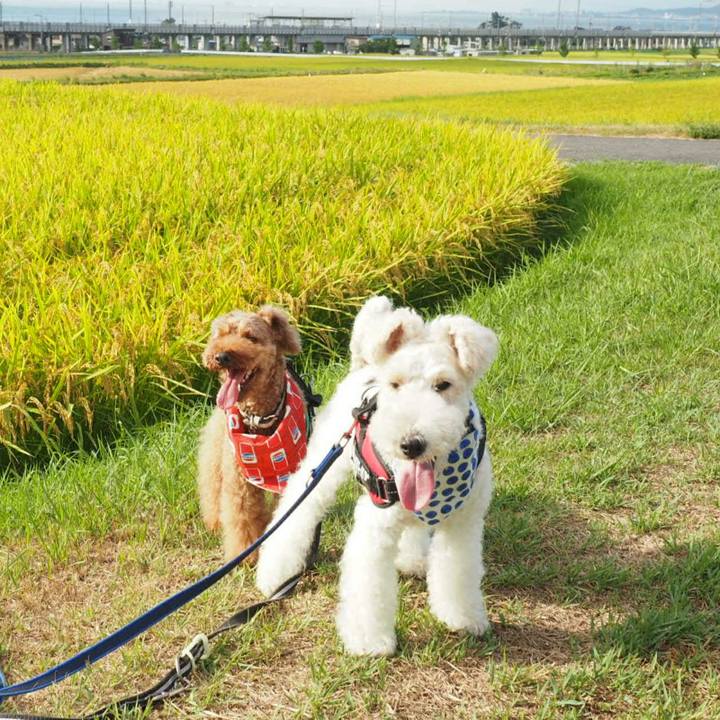 2899195f cd65 46e6 b1bc d0f56be07276 1535251867527