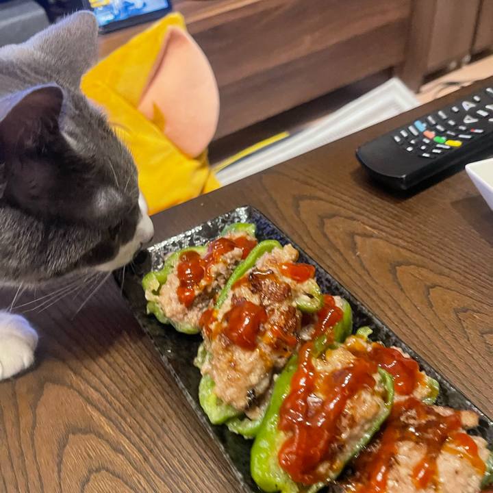 2899300e 0dcb 4f95 912d fe5743070fa8 1753442735487