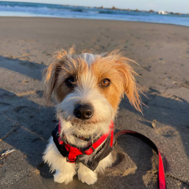 28994f8f cf4e 4763 be90 b69e44e6c648 1763195288140