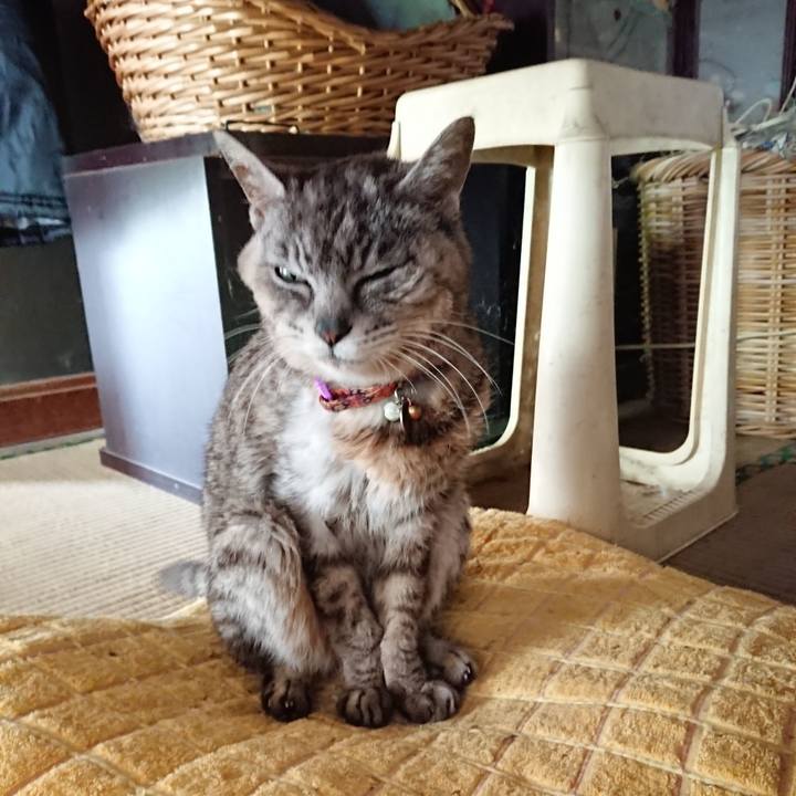 28995bbf f25f 438b b5ed 280f3f02e635 1594593916417