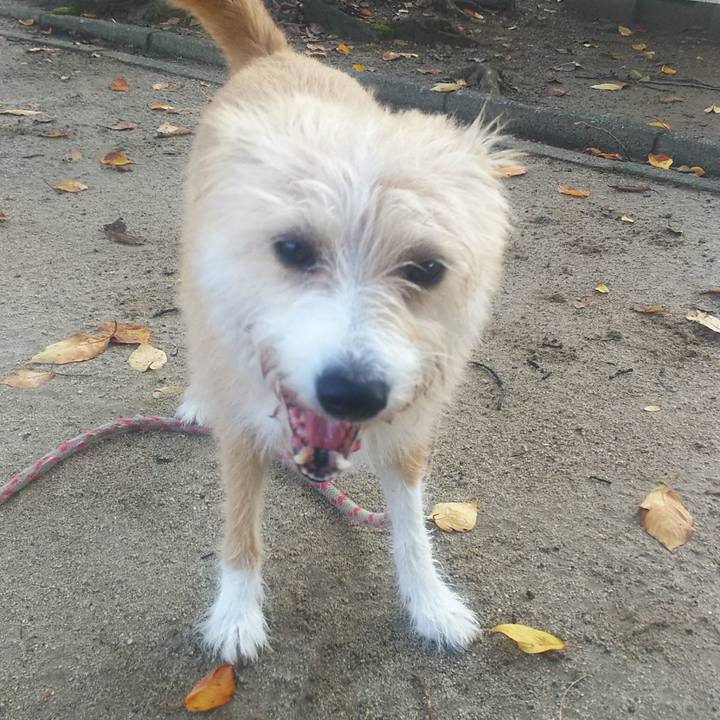 2899727a f796 48b7 b3e1 9a5be552a0be 1509056933755