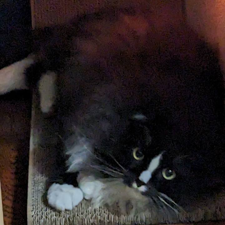 2899c9e7 c925 49f0 8ba4 c780aa407cfa 1693021267073