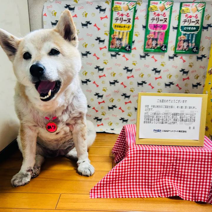 2899e6f0 0f03 4ef3 8be4 abdd3ddfef6b 1747385175375