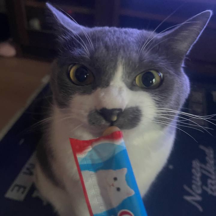 289a0687 e678 47fe bbc4 36396ec2dbd8 1695193070432