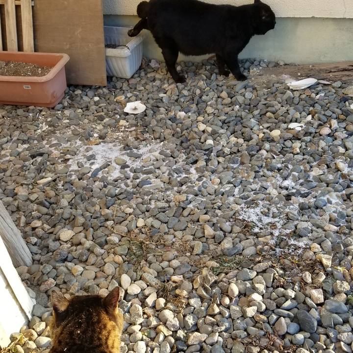 289a4cac b7cb 400f 9718 97787e1b872b 1607482669100