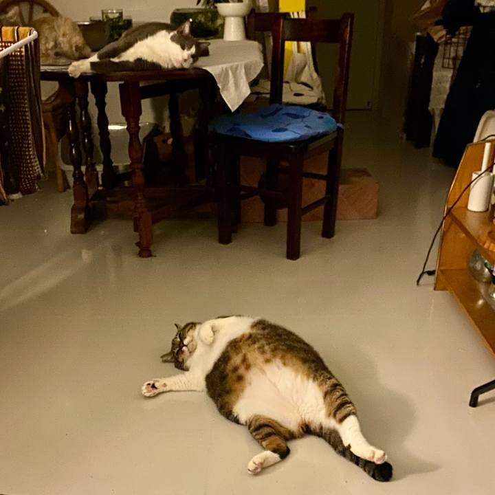 289a5e14 7045 4365 88aa 1fad6fb7c106 1755963877698