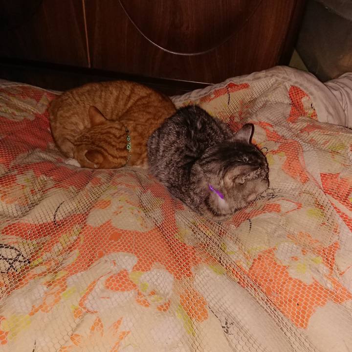 289a6526 66d4 4715 bb7c 4cbd90ee5c07 1580482494360