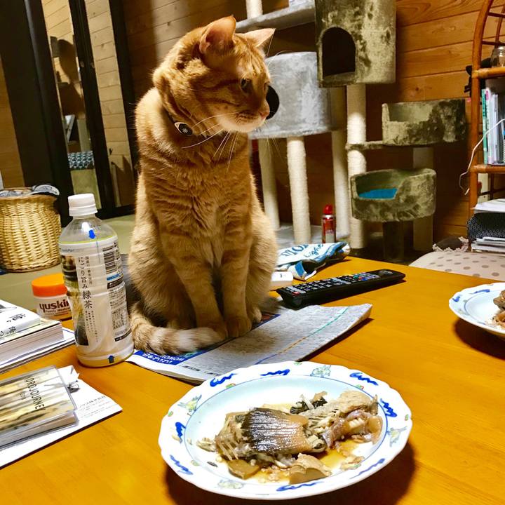 289a72e3 e526 43fd adb3 0a6c8ace134b 1528630755473