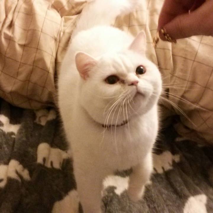 289ac876 0e27 4c4a a0e6 931c60c70b78 1518347221407