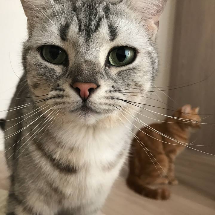 289ad1dc 54e1 4cf7 88cb 88558c2cfe97 1527113740741