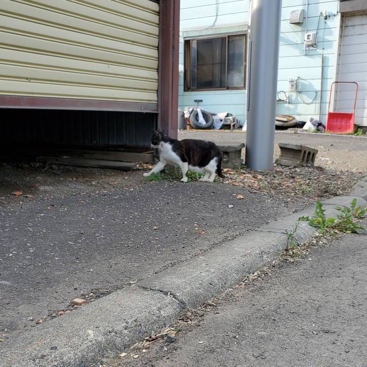 289afc55 45f8 430b ab1d 68ae52c6fc33 1696416655240