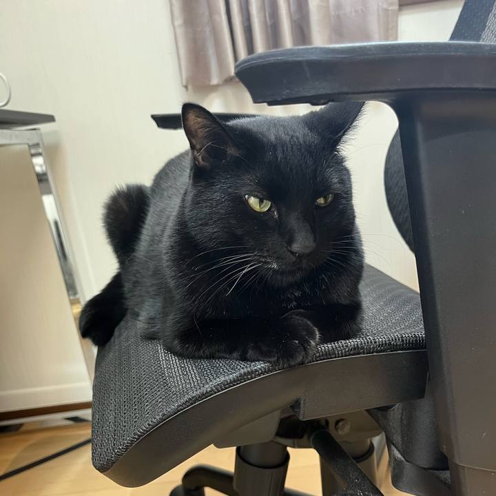 289afe71 52dc 47fd b7d7 630b89a1dd32 1694666029662