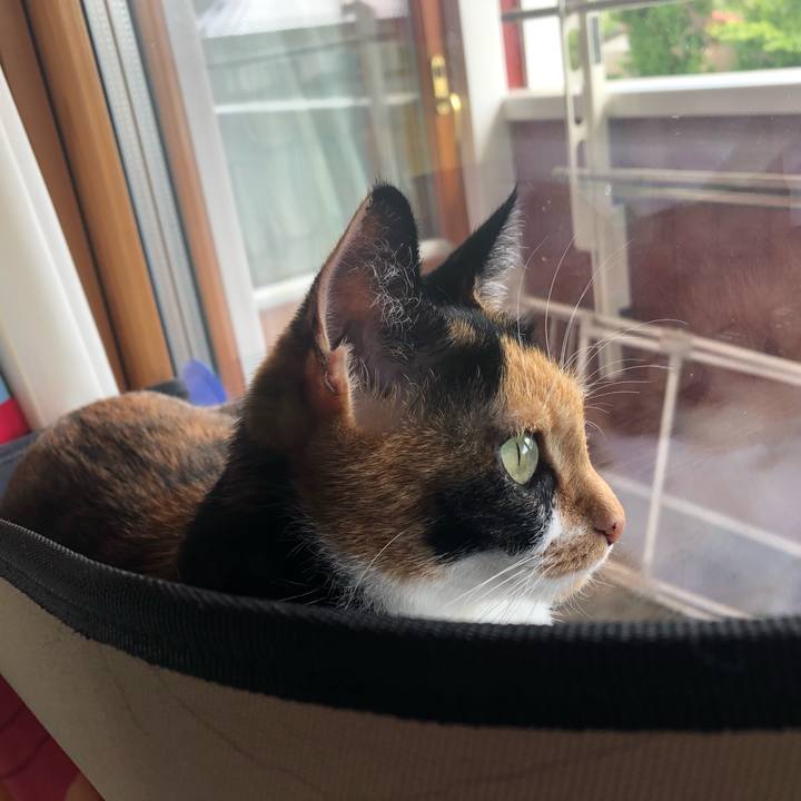 289b0766 091d 4137 ae32 be15b4b62991 1569212854920