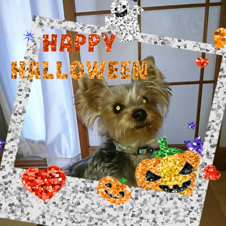 289b1b35 5631 44a8 9e38 0064b9b6fcf2 1509430032908