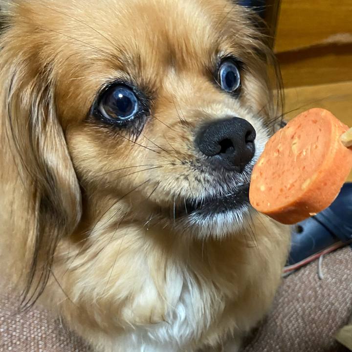 289b41ee f653 4347 974b 8801b81beb5e 1594762000332