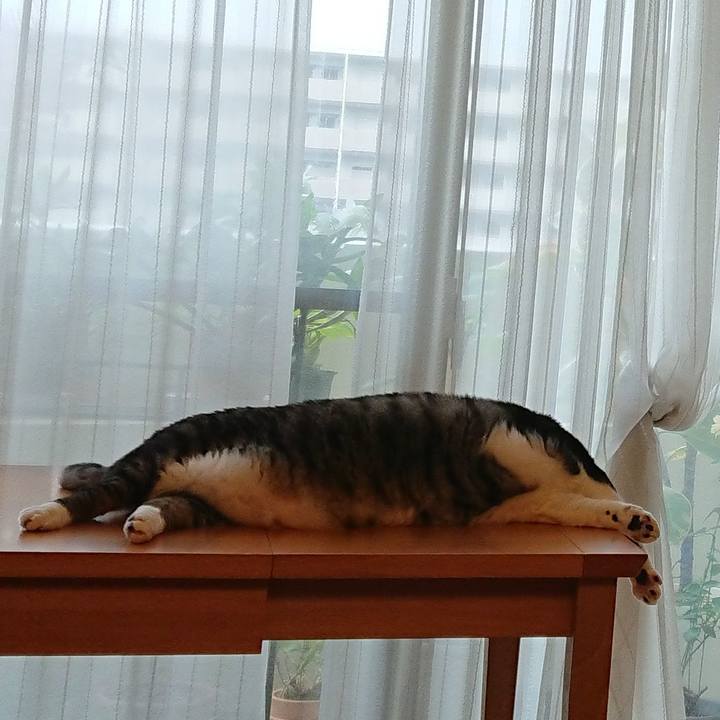 289b456d 4c8e 414a bb59 b1baa7d506e4 1530838172406