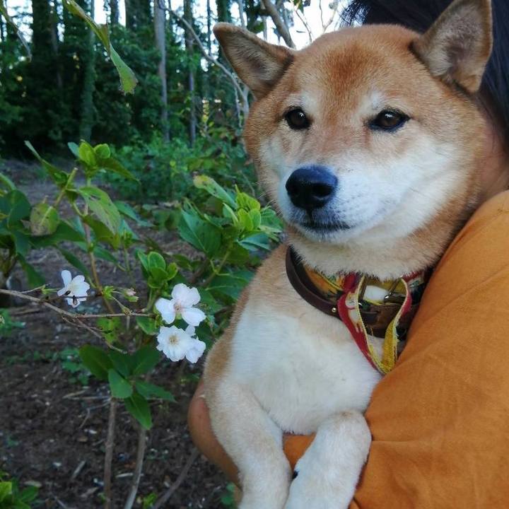 289b49ea 3828 4e3d af81 09d05041328c 1632188369098