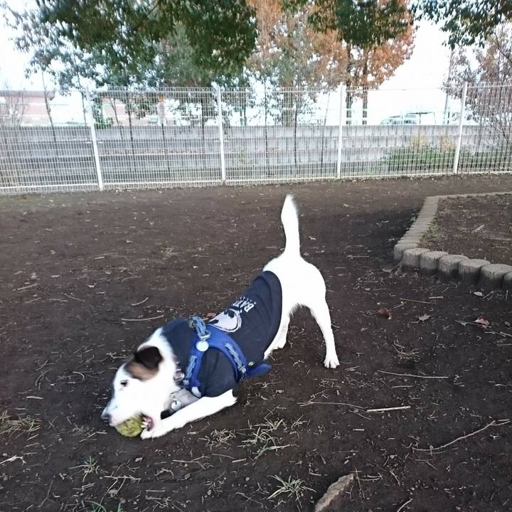 289b7fd3 79f4 4d86 8044 f20b376f1555 1511942790534