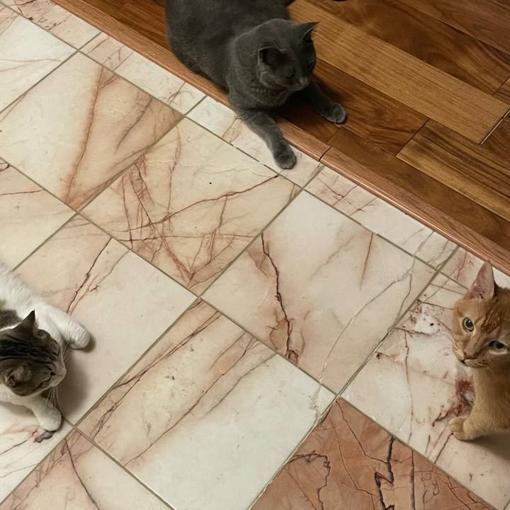 289b8acf b785 4d57 a7d6 b69de989e9fa 1695773264245