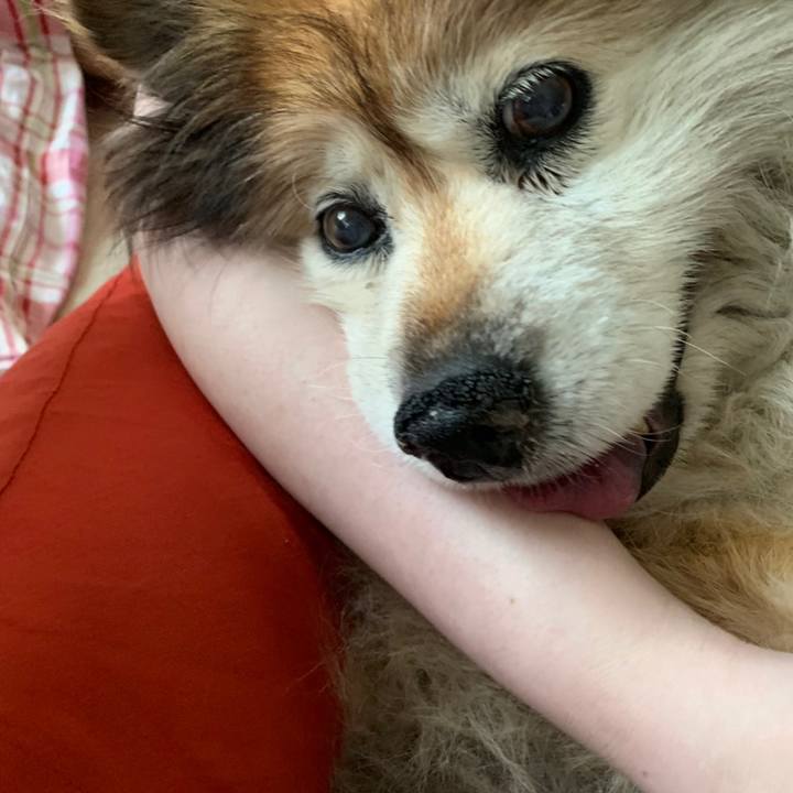 289bab75 92f2 4ad1 8ca1 dfe4a47f4d6f 1596111493004