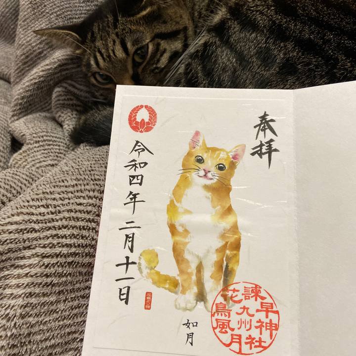 289bc313 f145 42b6 93f9 9aab227c0989 1644580198926