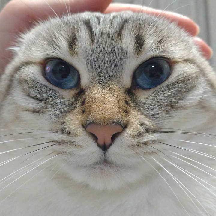 289bc694 4811 4466 a140 d07fc6b3a1b9 1679062041755