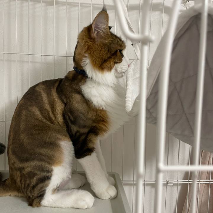 289bcb4b 9fa7 4360 ac73 a25a15c15874 1659731091955