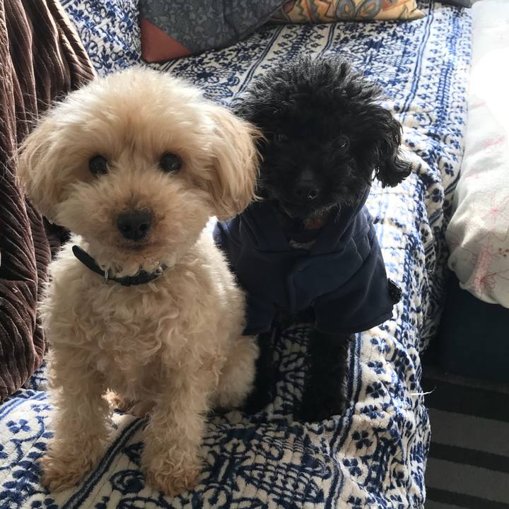 289bdd23 0601 463a 82e1 ee7522581be7 1518738779586