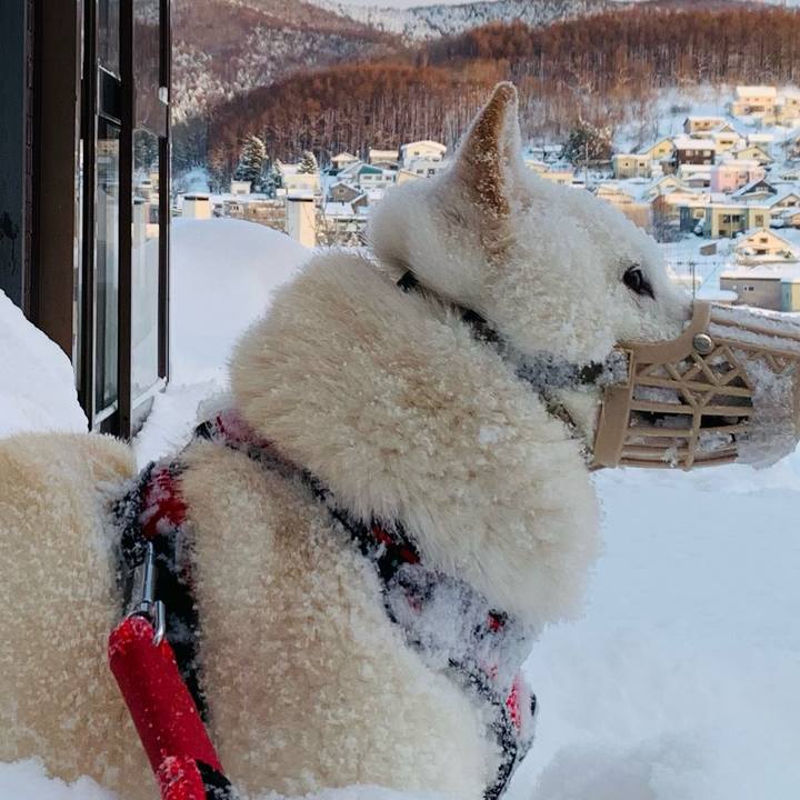 289be316 7066 4309 8579 45b84361a0b4 1643005168600