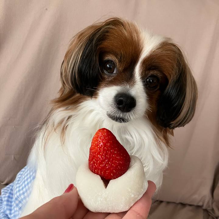 289bfa12 752d 406f 8f07 6874298f29e3 1745989979057