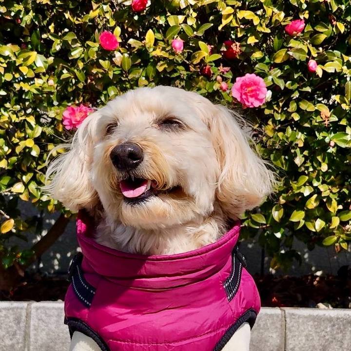 289c1458 c724 44e5 89d0 c8939c3a7223 1770955481362