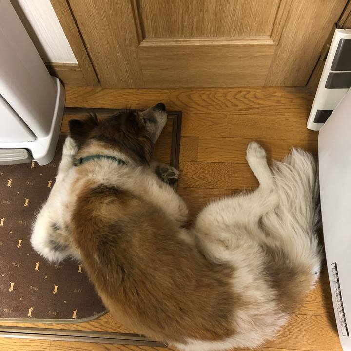 289c14f4 baaf 413b 9cd4 c96ff28efe96 1527850741900