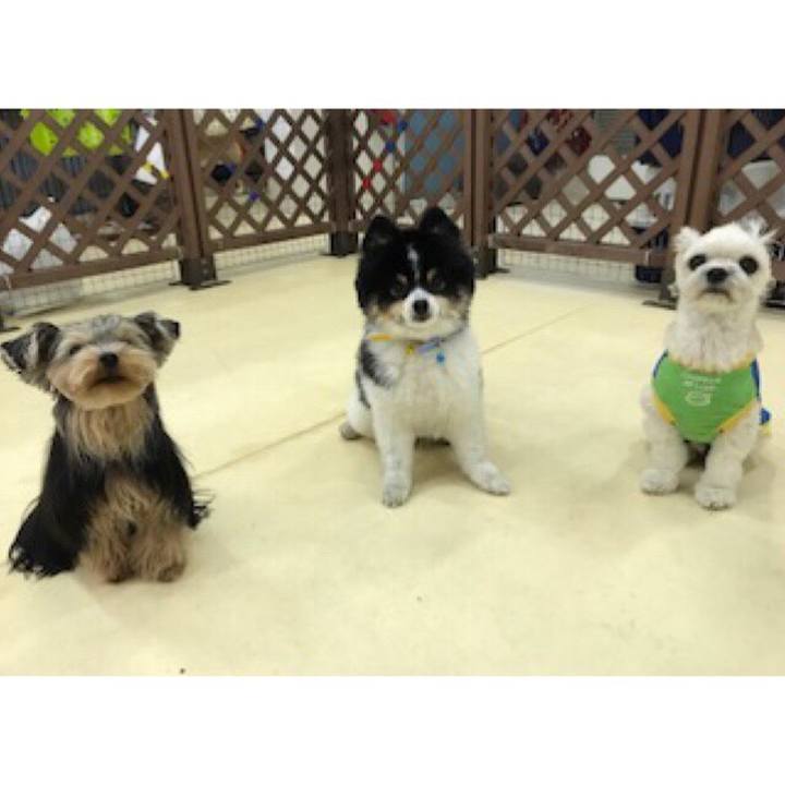 289c3463 8d5d 487b 8183 ef4e82e73493 1519128153841