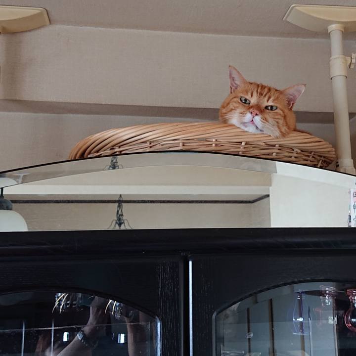 289c3ab2 769e 491d 936d 46969d9cc78d 1596757596920