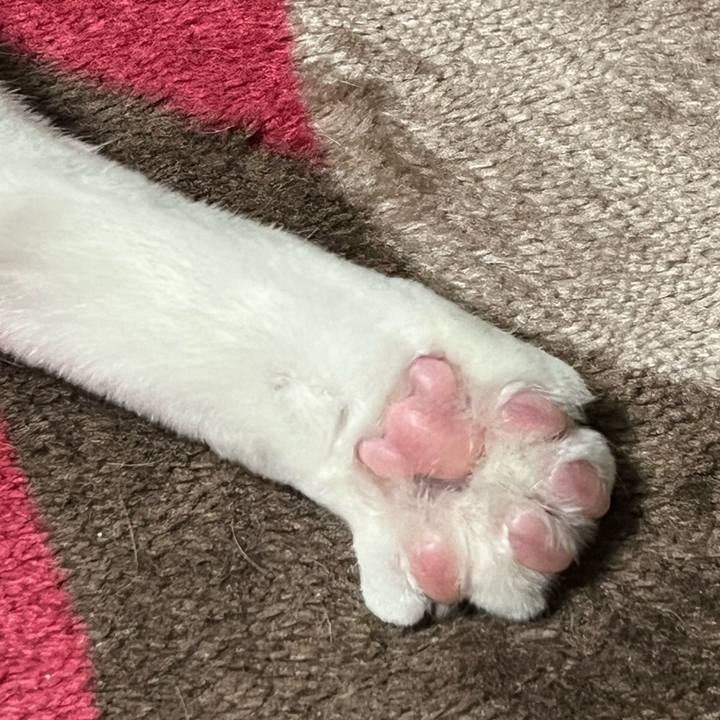 289c7a33 f41f 4b2b be50 6b8520506407 1772026760614