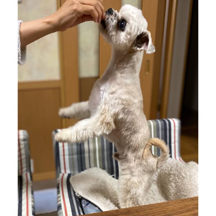 289cb511 b9c2 4102 ab85 a84d1abe1c5b 1587129842797