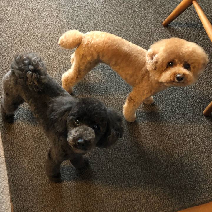 289cc2f8 df21 4622 bf30 28285f9db4f2 1593774040026