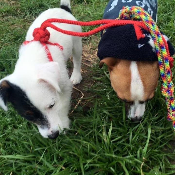 289cc750 d1b1 484f 8ef1 f34520337f4c 1677906996549