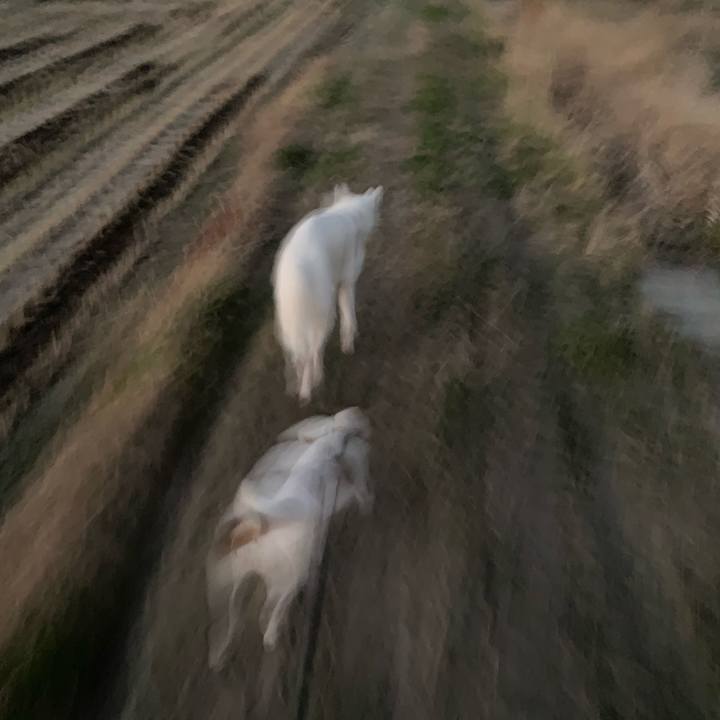 289cd39c 4ef5 4487 97fc a4f8a5c445b4 1576402181442