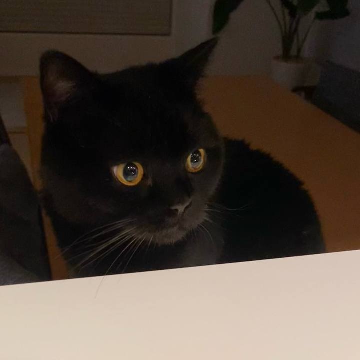 289cfb8f 24c6 4e96 901b af028ede5bb2 1721648441404