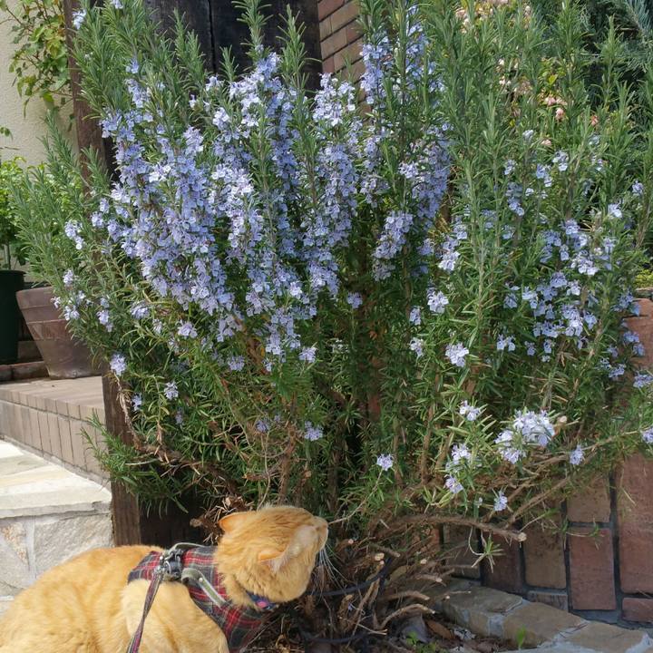 289cfe48 acbb 4f56 a1b4 67ca5e7f9a1c 1556525656933