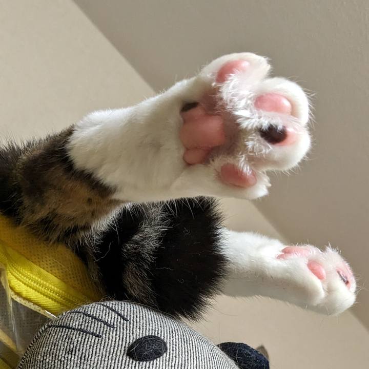 289d0413 7189 444e bfe3 068f00b6c054 1698298509276