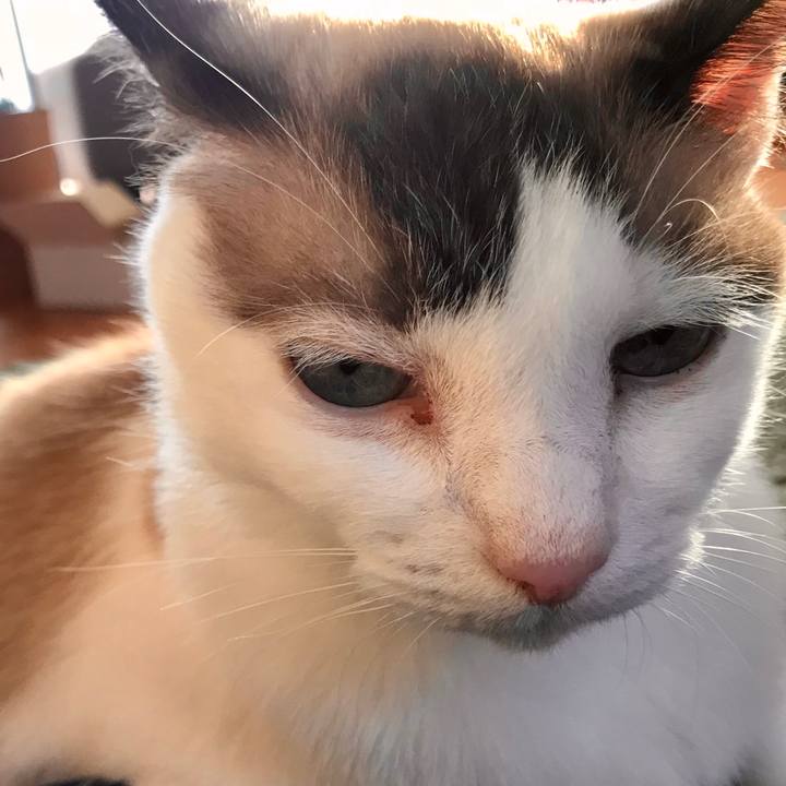 289d4d0e 8dae 47d1 bb3f 26b2e9d90ec2 1600781310222