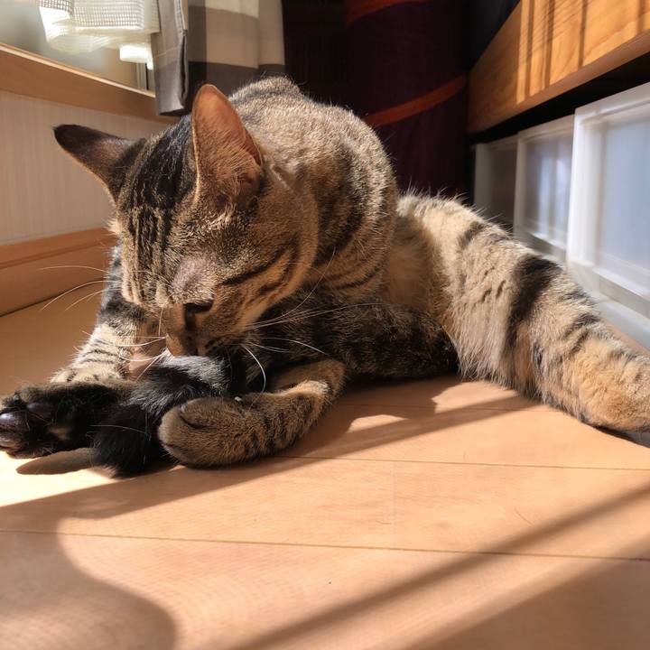 289d6a2e b512 4589 9850 6b1a5773ff1c 1537465267661