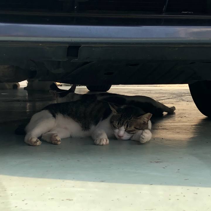 289d9c63 b22e 491b bcba 48ac035dd93a 1533928177311