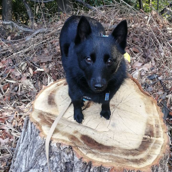 289dcb13 ad55 4561 99ef e7e729d89941 1646437255218