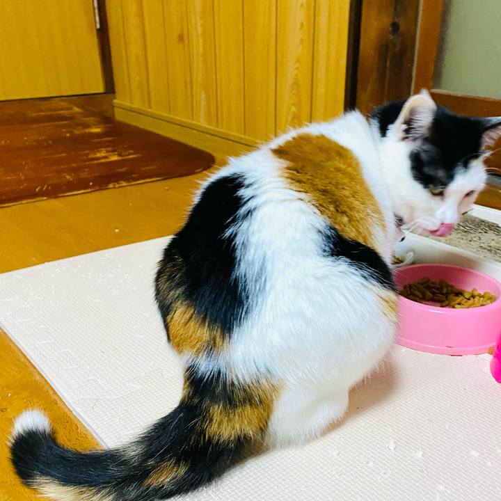 289dcebf d07f 4057 9354 36993500a695 1680181890359