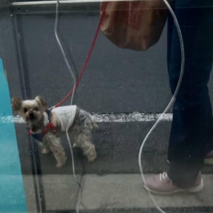 289dd187 8856 4dde 87ba ff1af605ea6e 1766310761866