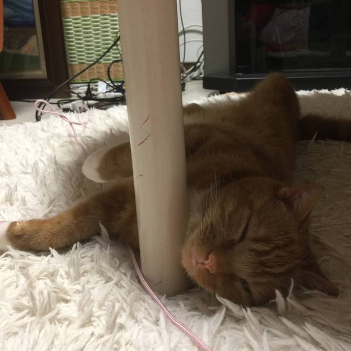 289deef4 1e16 4cfa a06b 286a9485232c 1591018356253