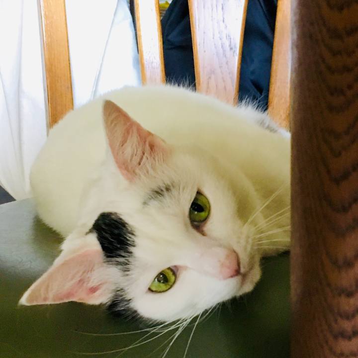 289e3848 041e 49fb 85dd 101ec32b62e5 1566792631180